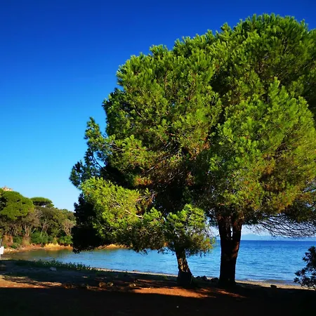 Bilocale Vista Mare 6 Posti Letto! Monolocale Vista Mare 4 Posti Letto! * Punta Ala